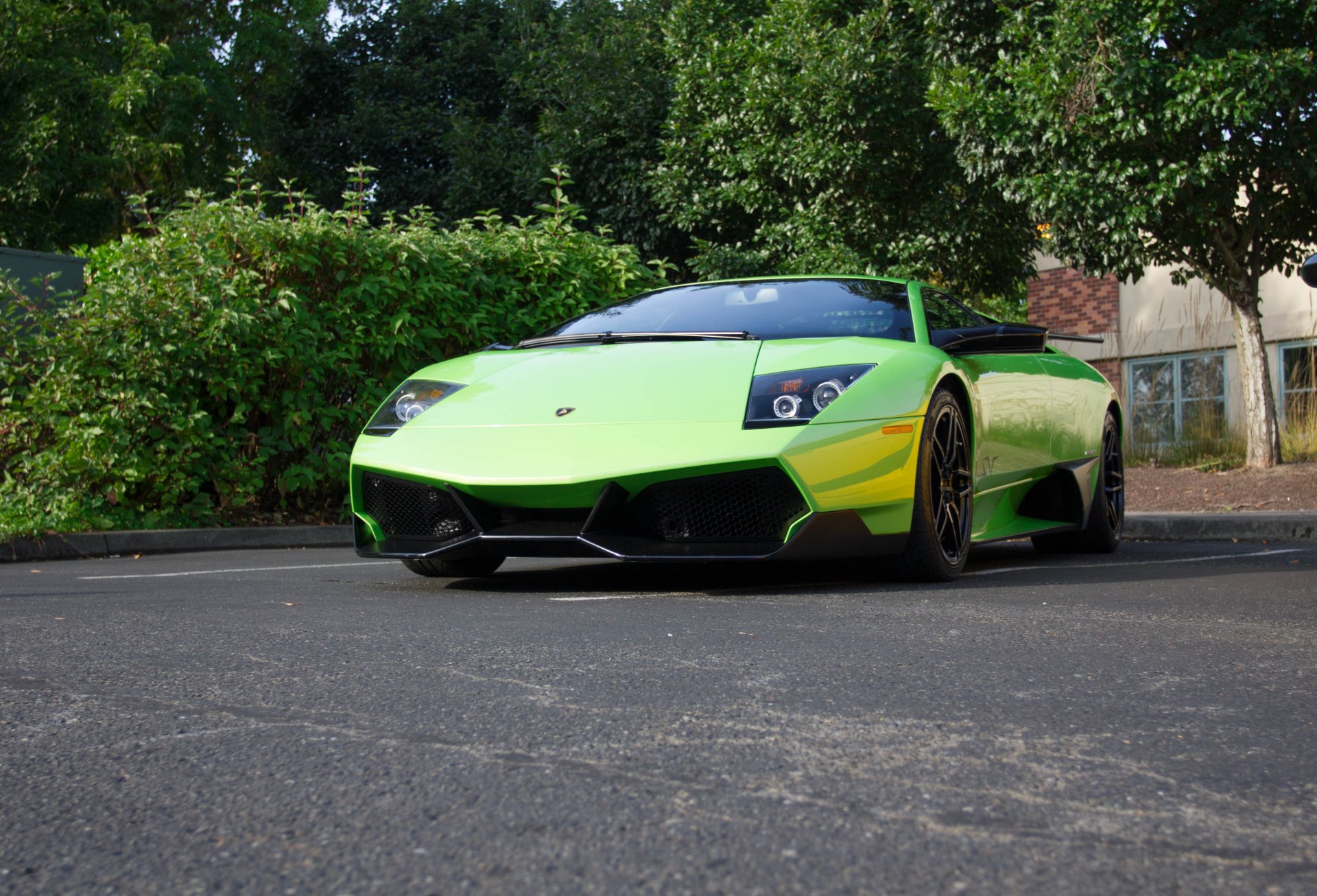 lamborghini murcielago lp670-4 sv green lamborghini murcielago light green front view shrub tree