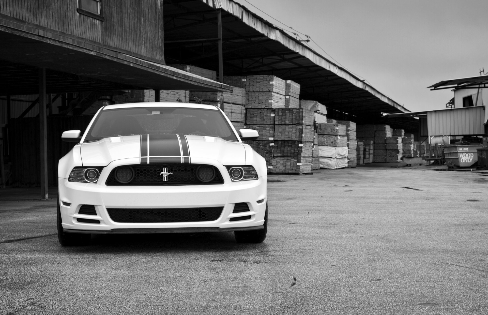 ford mustang boss 302 bianco ford mustang boss 302 anteriore