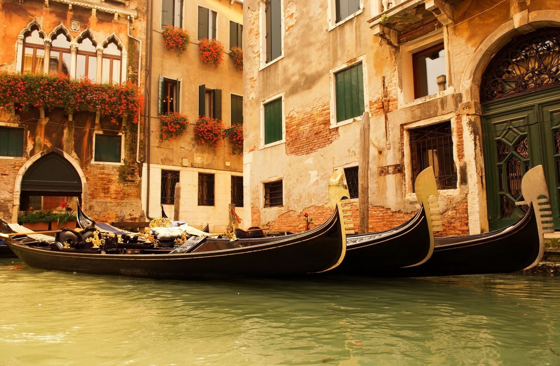 italie fleurs gondoles fenêtres eau maisons venise