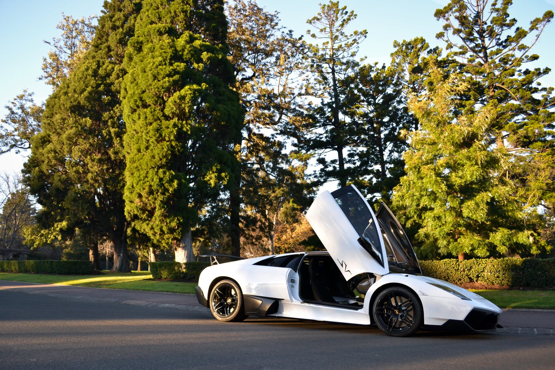 lamborghini murcielago lp670-4 sv bianco strada lamborghini murcielago vista laterale alberi