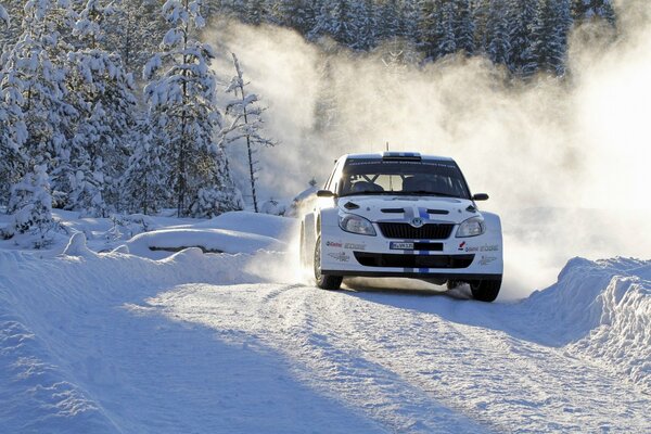 Sports car on the highway in the snow