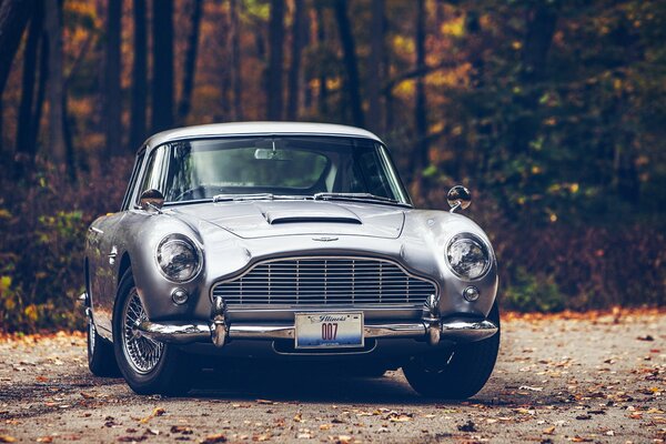 Silberner Aston Martin auf dem Hintergrund des Herbstwaldes