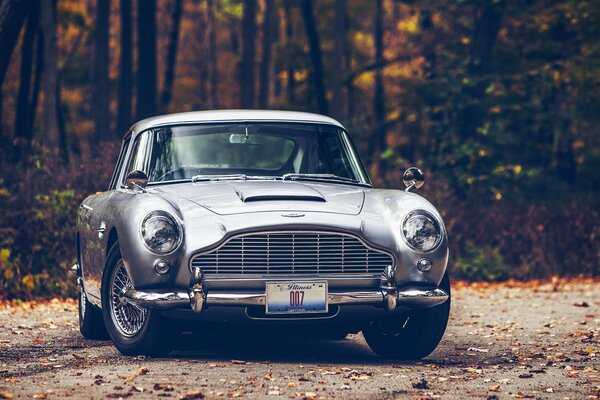 Silver Aston Martin on the background of autumn forest