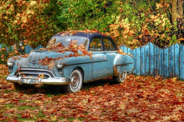 Romantischer gelber Herbst außerhalb der Stadt