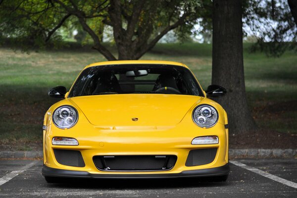 Porsche jaune sous un arbre tentaculaire