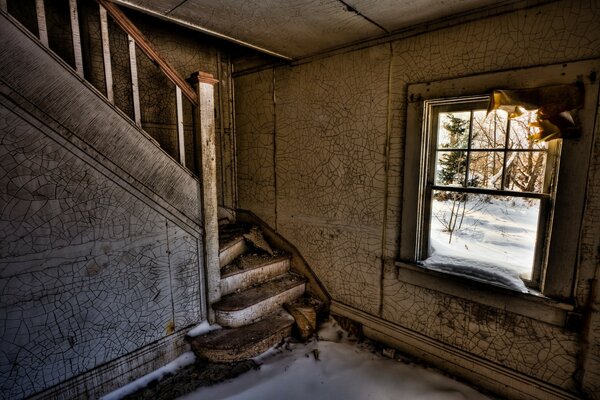 Durch das Fenster, das sich in der Nähe der Ruinen der Treppe befindet, kann man den Wald sehen