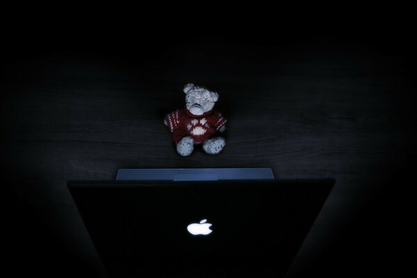 Bear in the light of a laptop