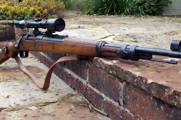 Brown Mauser on stone steps