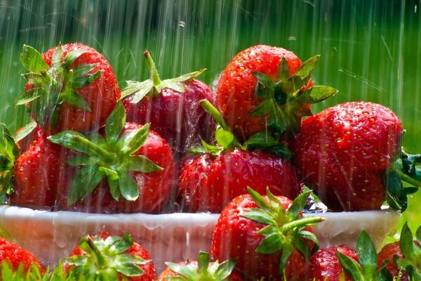 Ripe strawberries on the background