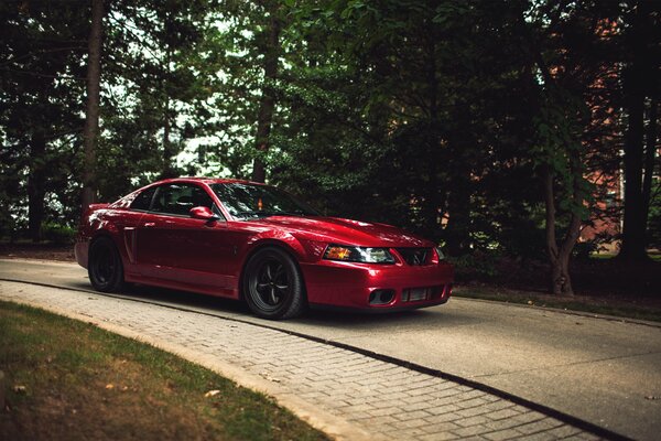 Rouge vif passionné Ford Mustang dangereux