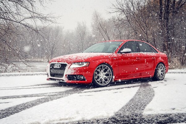 Tanto en invierno como en verano, de color rojo