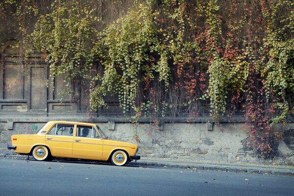 Un six jaune discret sur la route