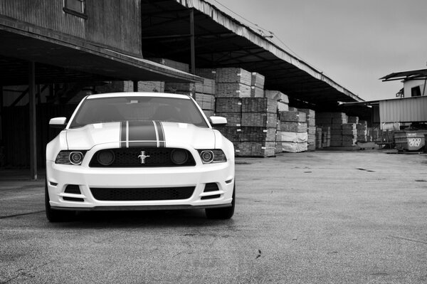 Klassiker des Genres Ford Mustang