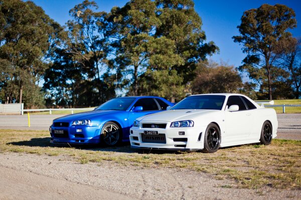 Nissan skyline cars on the background of trees