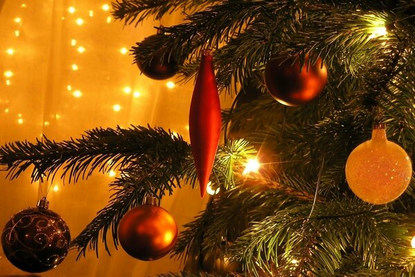 Odore di albero di Natale sullo sfondo di luci magiche