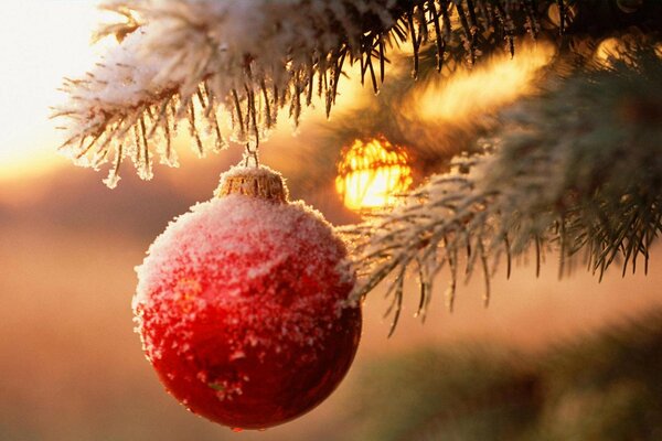 New Year s ball on a snow-covered Christmas tree branch