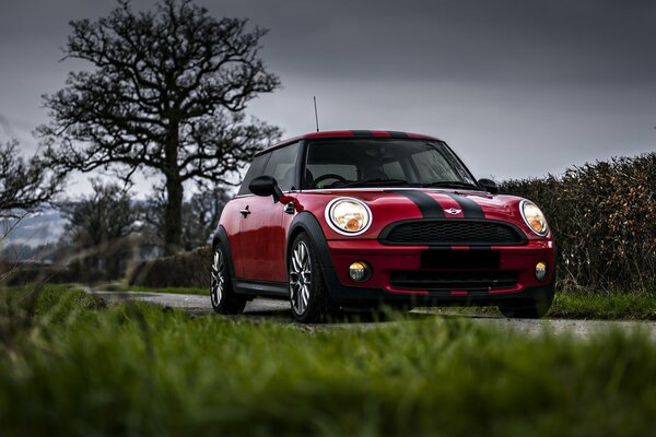 Auf der Spur - eine rote Mini Cooper-Maschine