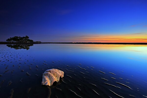 Magnifique coucher de soleil sur la surface de l eau