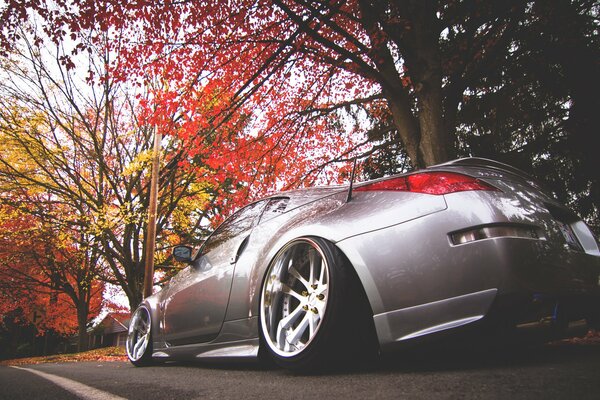 Nissan gris en follaje de otoño rojo