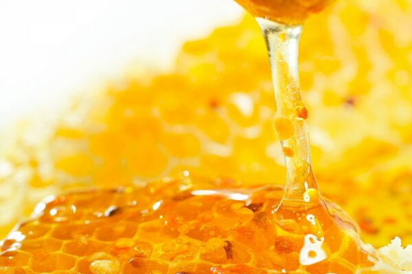 Honey in honeycombs sweet aroma