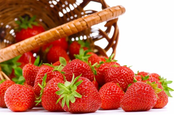 Fraises dans un panier en osier