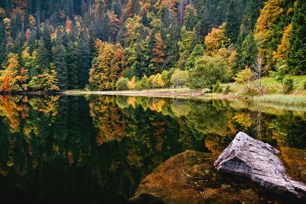 Spiegelbild des Herbstwaldes im See