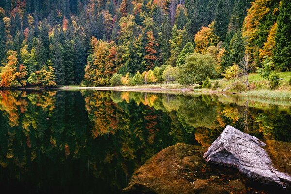 Зеркальное отражение осеннего леса в озере