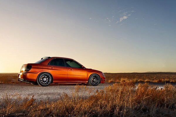 Subaru impreza vintage autumn nature