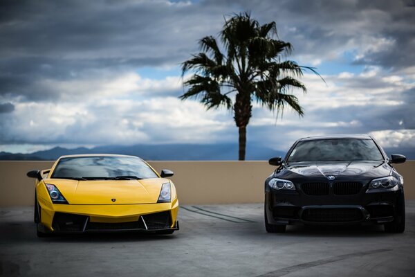 Lamborghini jaune et bmw noir sur la route sur fond de palmier et ciel nuageux