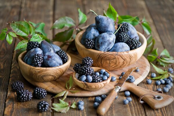 Berries on a tree with greenery