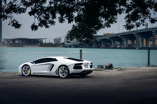 Weißer Lamborghini am Stadtstrand