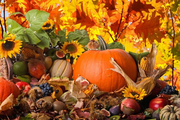 Composition of the autumn harvest