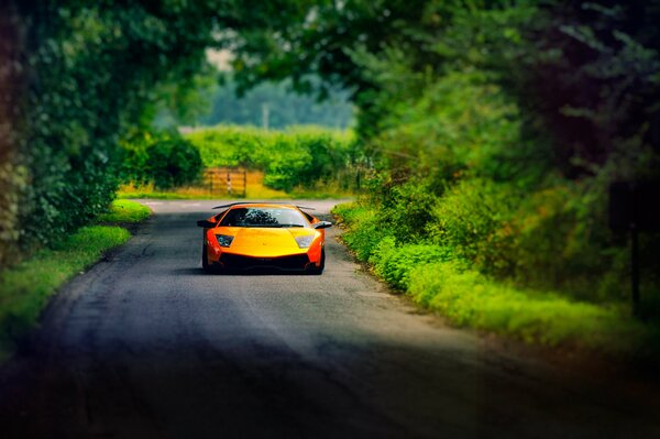 Lamborghini giallo-arancio cavalca in estate lungo la strada