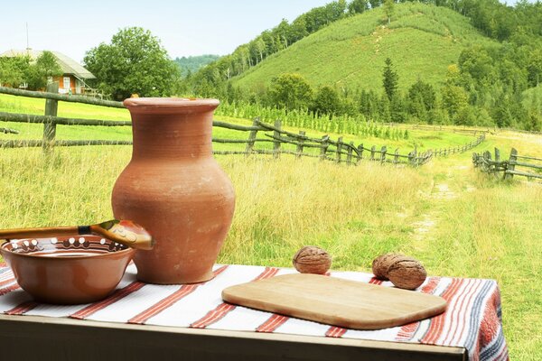 Brocca con targa vicino alle colline di erba