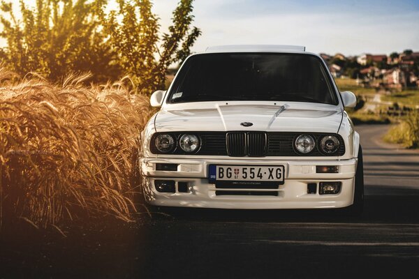 Bmw blanc sur un champ de blé