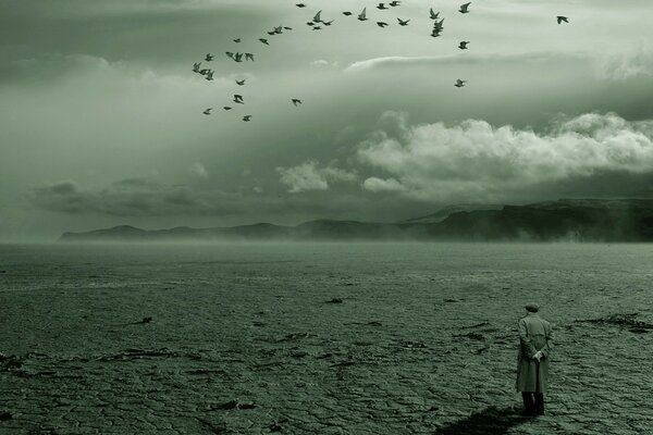 Solitude dans le désert sur fond d oiseaux qui s envolent