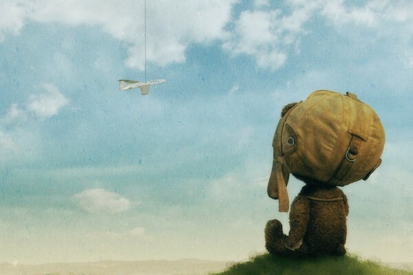 The bear looks at the white clouds where the plane is landing