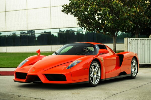 Ferrari rouge près du bâtiment avec des arbres