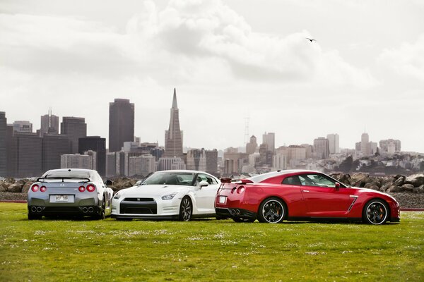 Coches Nissan en el campo