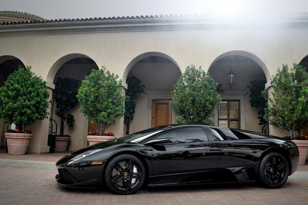 Black Lamborghini side view near the building