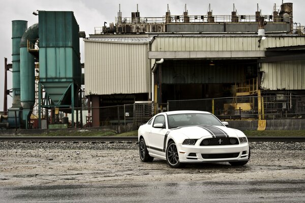 Weißer Ford Mustang bboss 302 mit schwarzem Streifen auf der Motorhaube