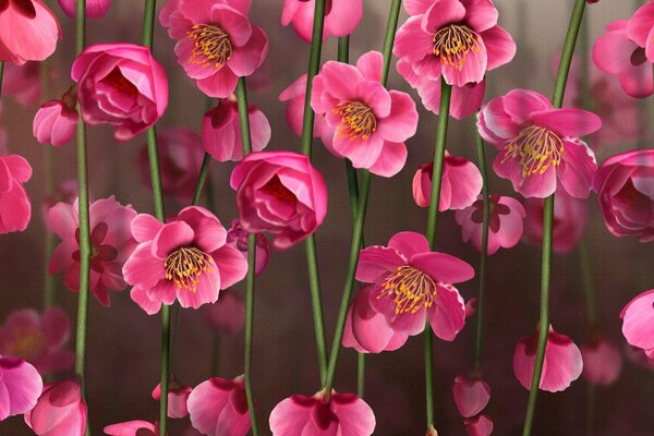 Pink flowers on thin green stems