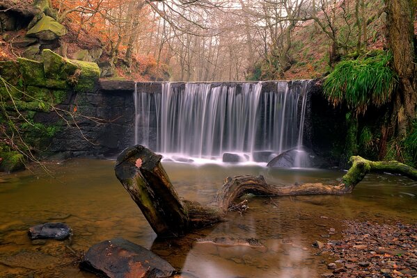 Nature automnale avec cascade dans la forêt