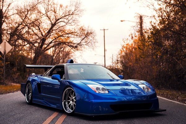 Elegante deportivo Acura azul en la carretera de otoño