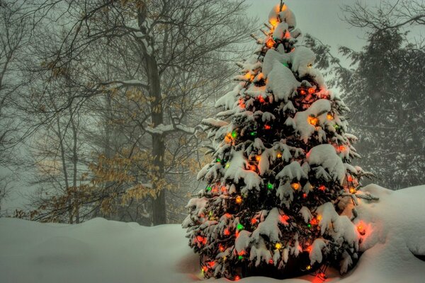 Lanternes lumineuses sur un sapin enneigé