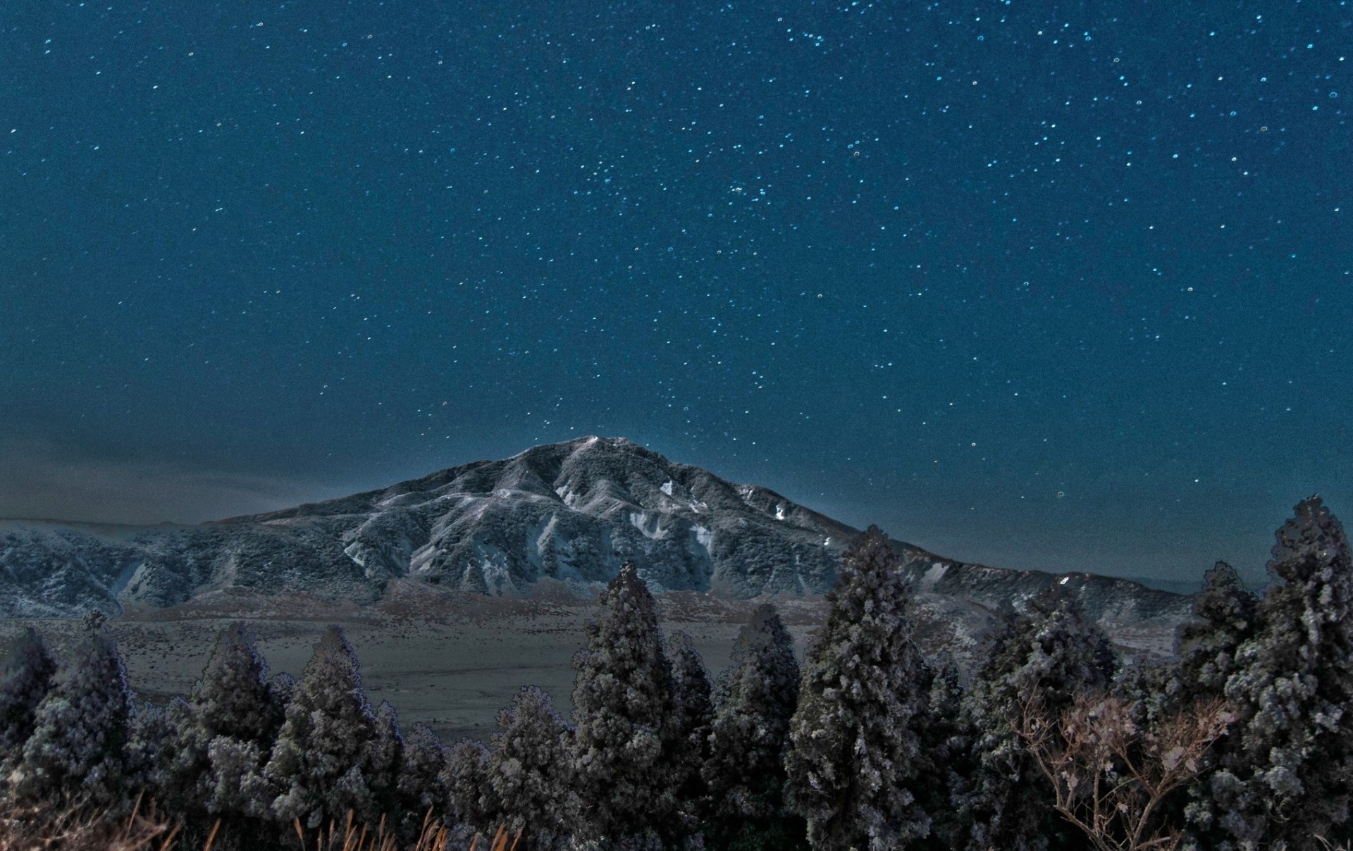 niebo noc palmy góra widok