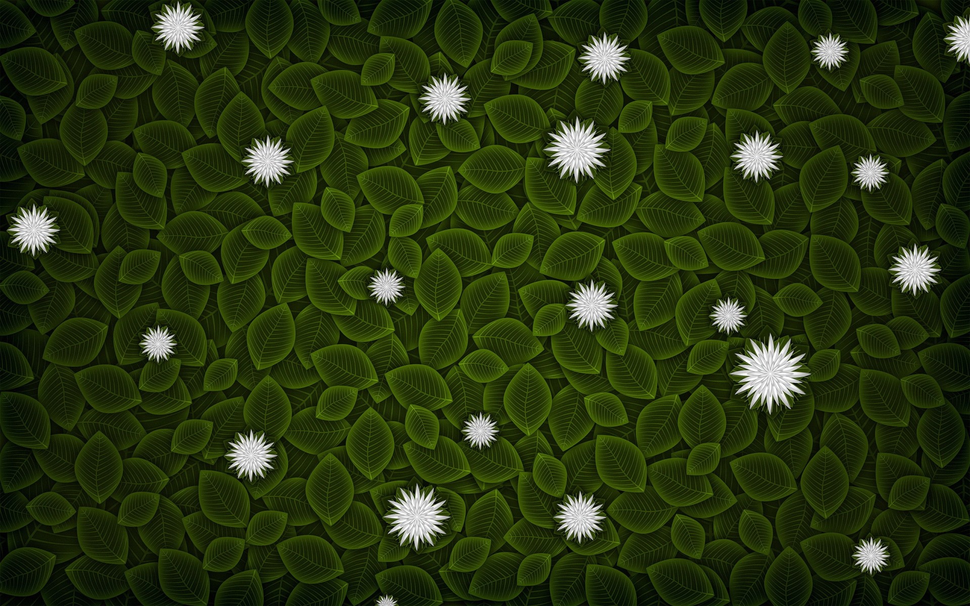 minimalism vector leaves flower