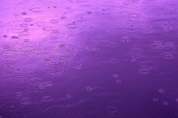 Wasserstöße vom Regen auf der violetten Wasseroberfläche