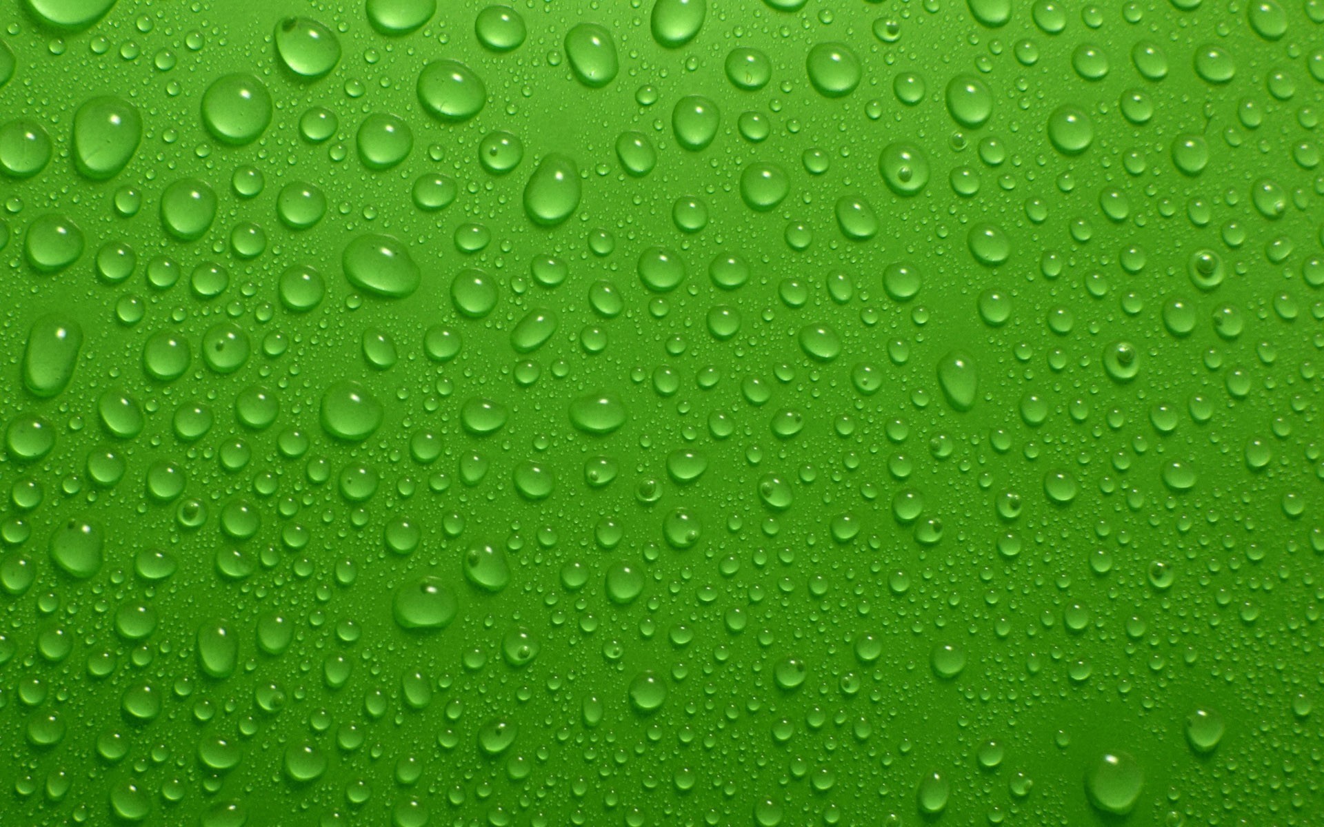 gotas verde fondo