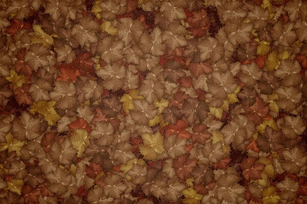 Caída de hojas de otoño con gotas de rocío